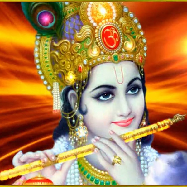 Bhakti Rasa dasa - KrishnaKirtan
